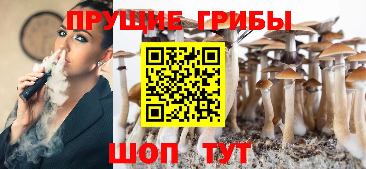 Псилоцибиновые грибы мицелий  Вход с VPN  Юрга 
